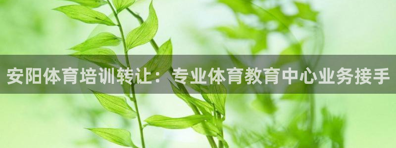 焦点娱乐待遇：安阳体育培训转让：专业体育教育中心业务接手